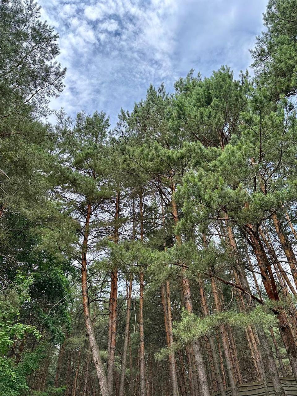 Secret Resort Club Pereyaslav-Khmelʼnytsʼkyy Zewnętrze zdjęcie
