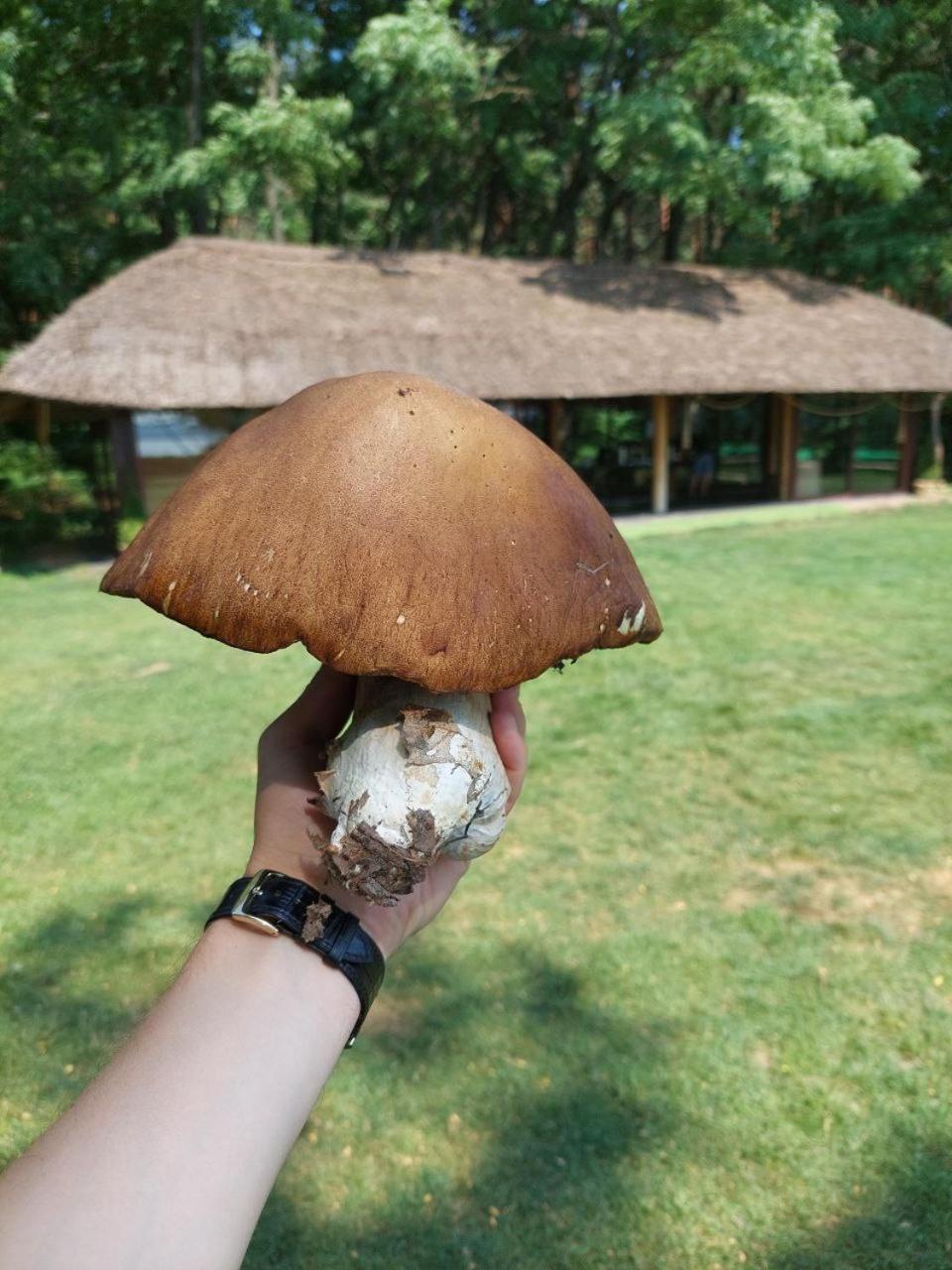 Secret Resort Club Pereyaslav-Khmelʼnytsʼkyy Zewnętrze zdjęcie